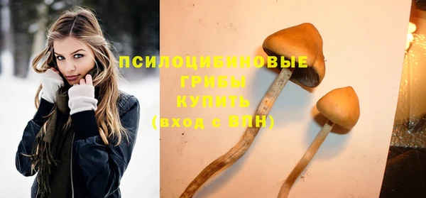 винт Анжеро-Судженск