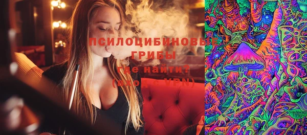 бошки Анива